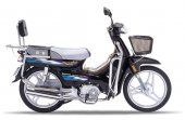 2008 Senke SK100 photo